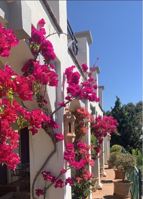 Boutique Hotel Maravilla - Marbella 베나하비스 외부 사진