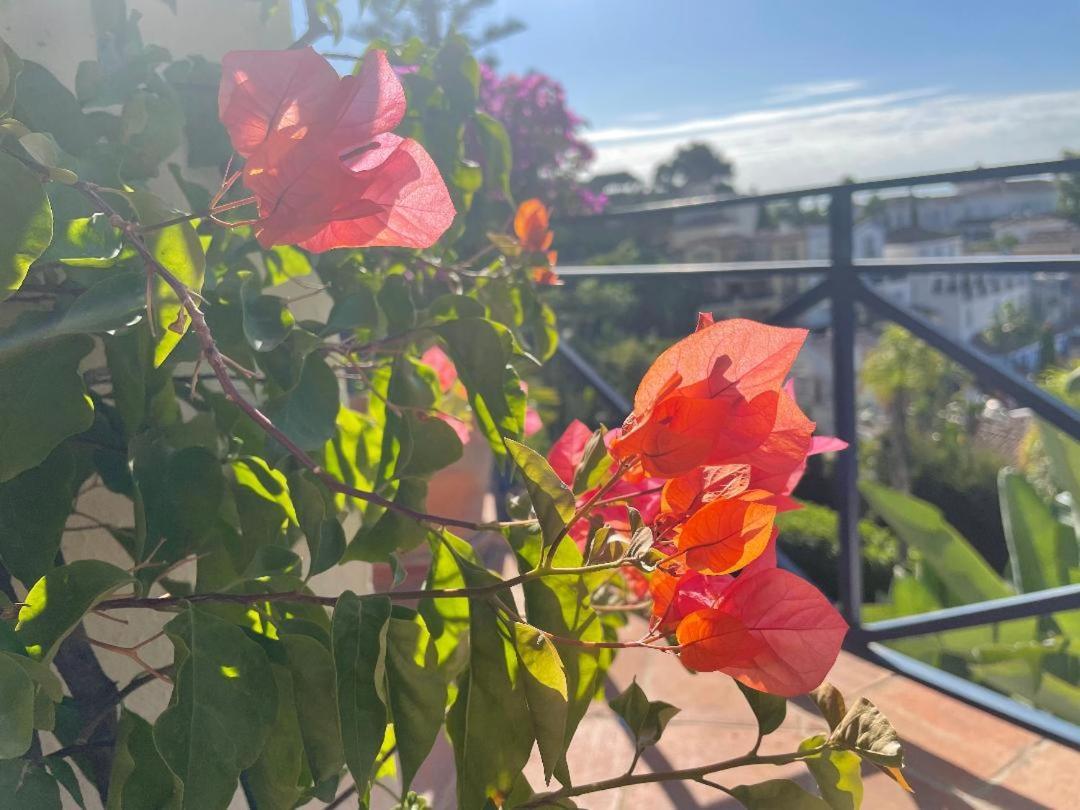 Boutique Hotel Maravilla - Marbella 베나하비스 외부 사진